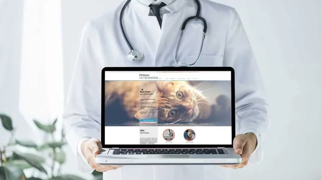 création de site internet by Studio Maybe Agency