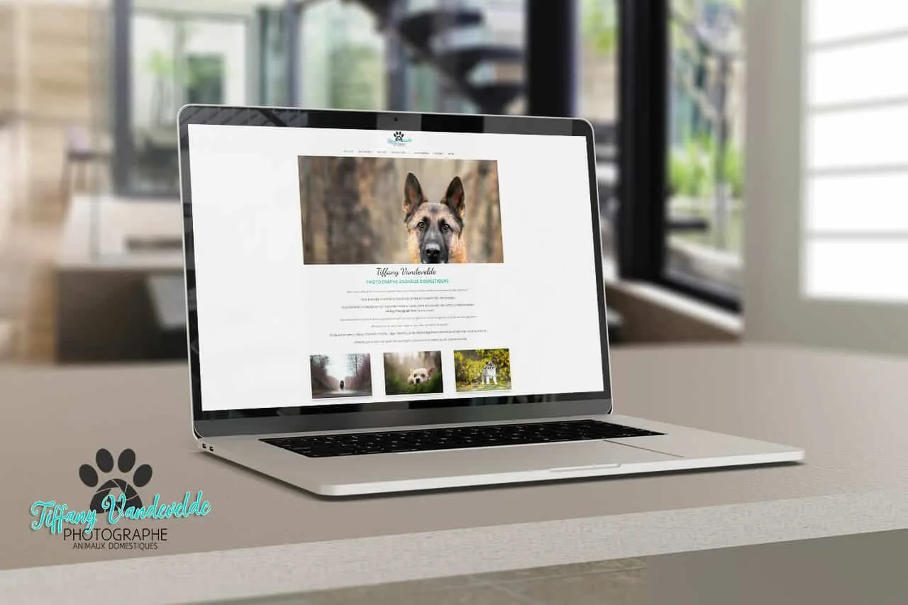 Création du site internet de Timilky Photographe d’animaux de compagnie