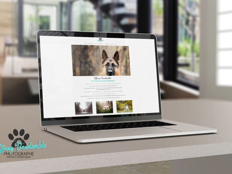 Création du site Timilky